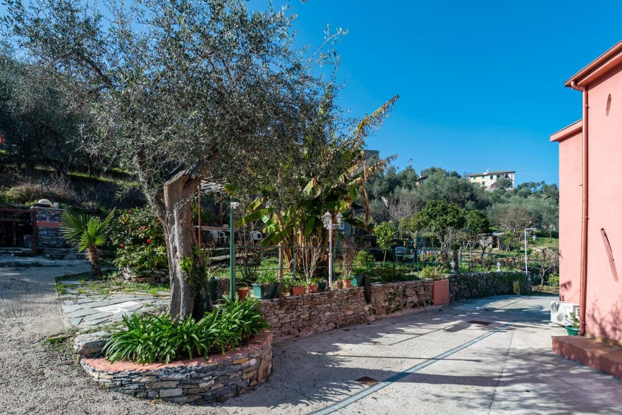 Alla Casa Rosa, Peaceful Apartment Surrounded By Greenery With Free Parking, Wifi & Air Conditioning Rapallo Eksteriør billede