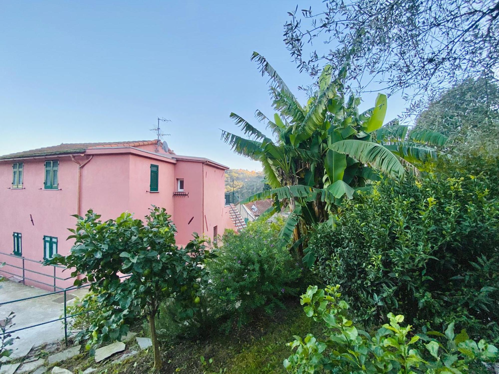 Alla Casa Rosa, Peaceful Apartment Surrounded By Greenery With Free Parking, Wifi & Air Conditioning Rapallo Eksteriør billede